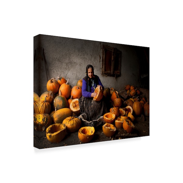 Mihnea Turcu 'Lady With Pumpkins' Canvas Art,18x24